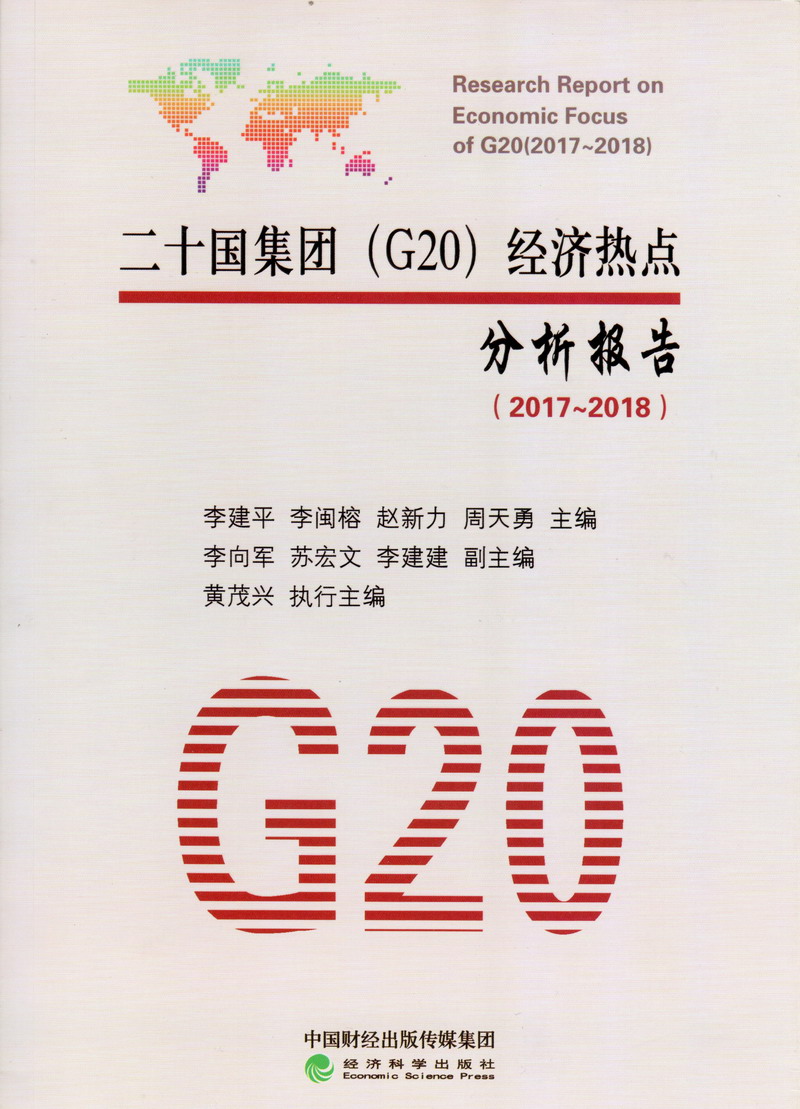 被抽插的好爽啊视频二十国集团（G20）经济热点分析报告（2017-2018）
