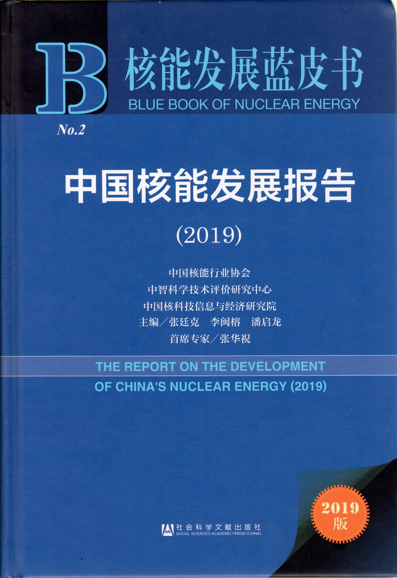 尻老婆一下午给逼尻烂了视频中国核能发展报告（2019）
