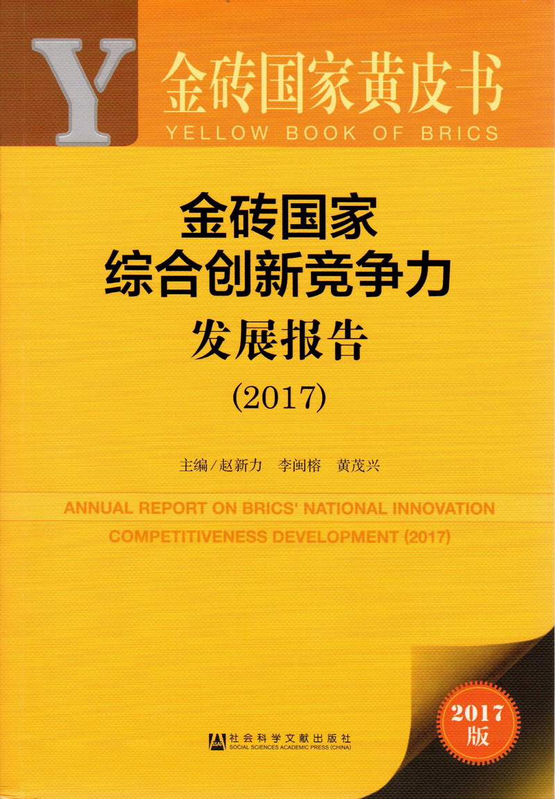 骚鸡吧视频在线免费观看金砖国家综合创新竞争力发展报告（2017）